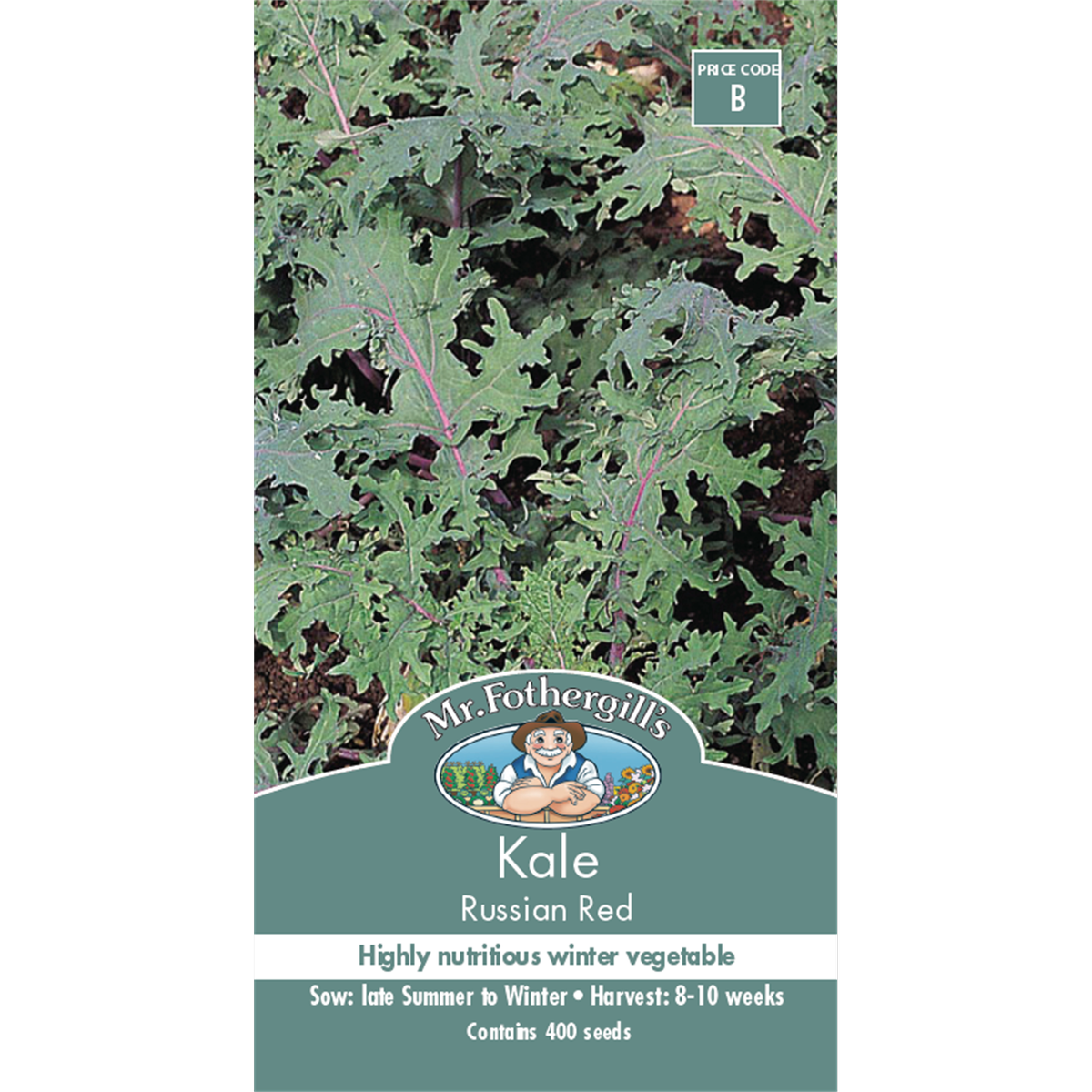 Mr Fothergill S Kale Russian Red Seeds - 75mm - Green - Nutritious