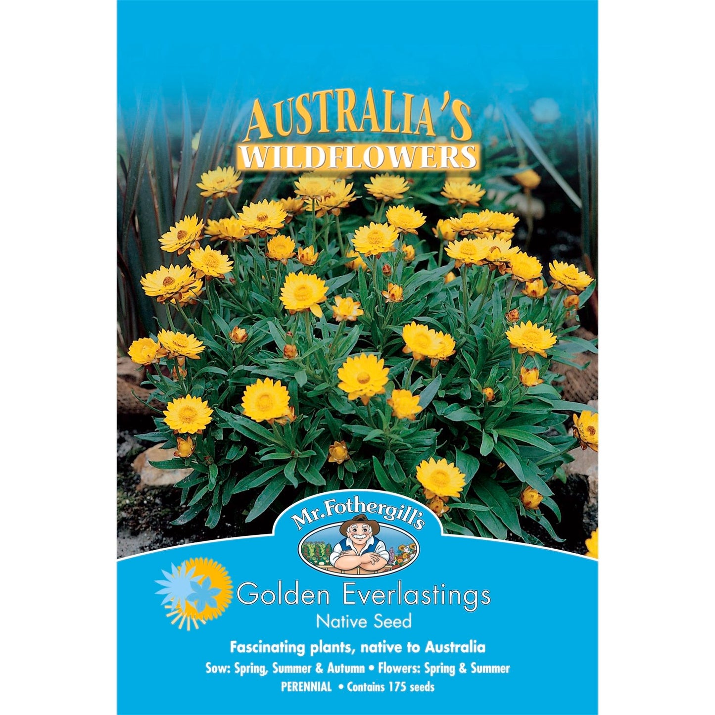 Mr Fothergill Flower Seeds
