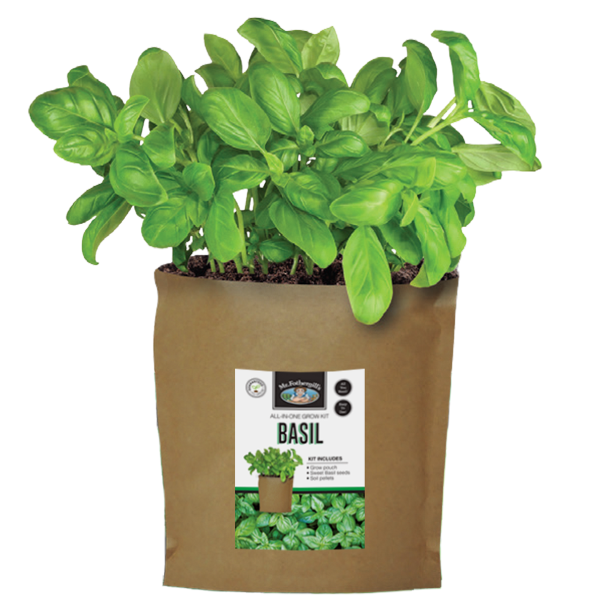 Mr Fothergill Basil Grow Pouch - 170mm x 240mm - All-in-One Kit