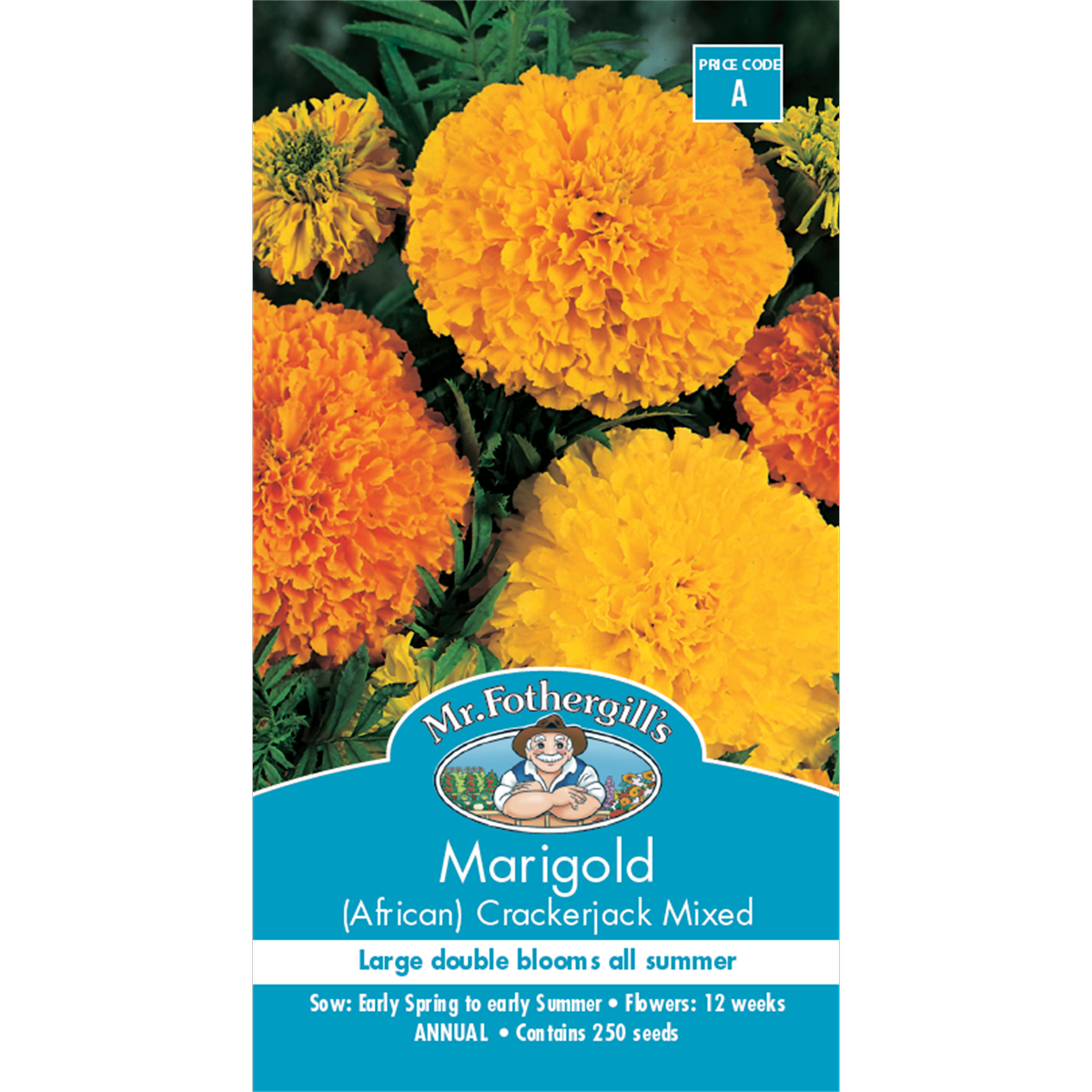 Mr Fothergill Marigold Crackerjack Seeds 75cm Hardy Bedding Plant