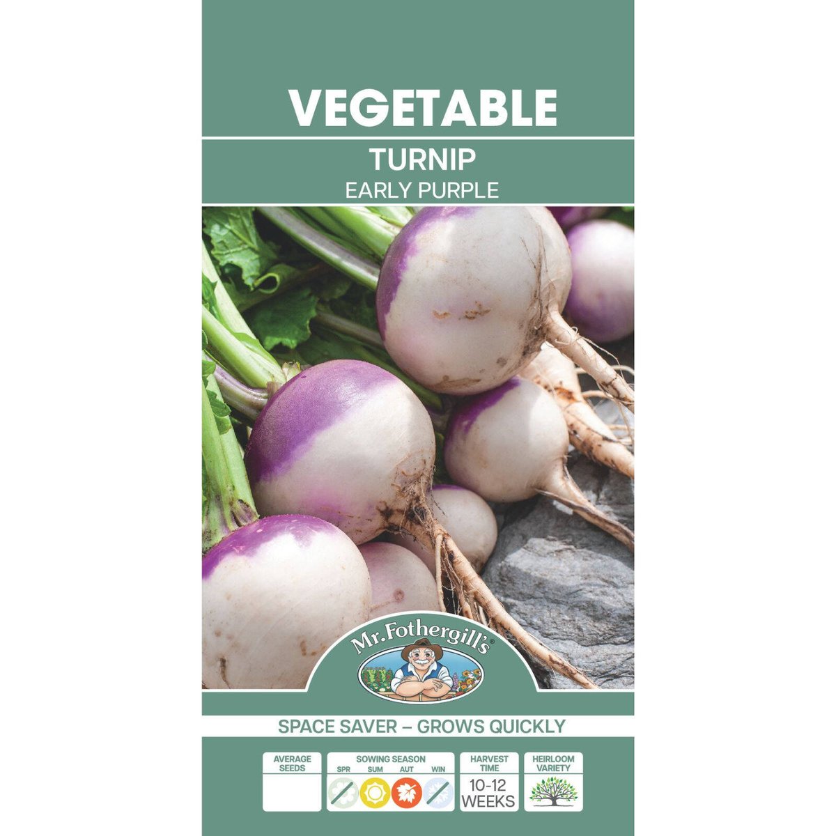 Mr Fothergill Early Purple Turnip Seeds - 1250 Seeds - Quick Growth