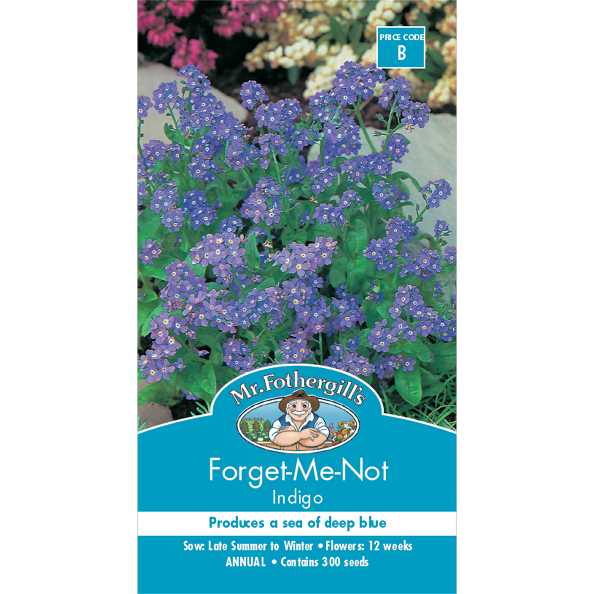 Mr Fothergill S Forget Me Not Seeds - Indigo Blue - 30cm - Easy Grow