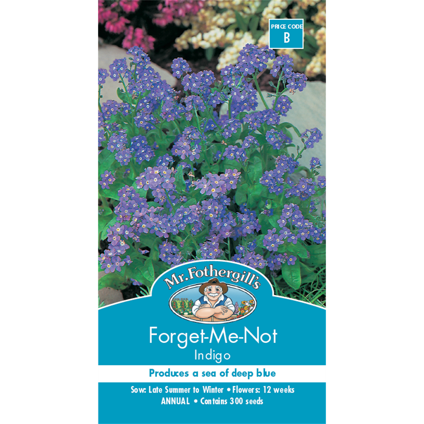 Mr Fothergill Forget Me Not Seeds