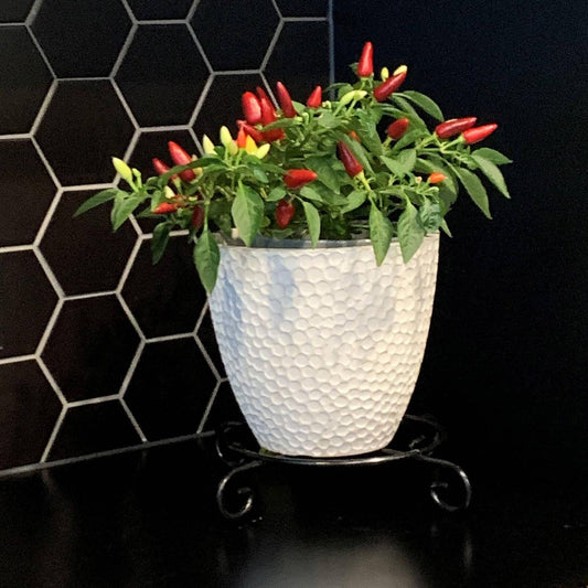 Jack Black Metal Plant Stand 30cm Slimline Design Heavy Duty 100kg