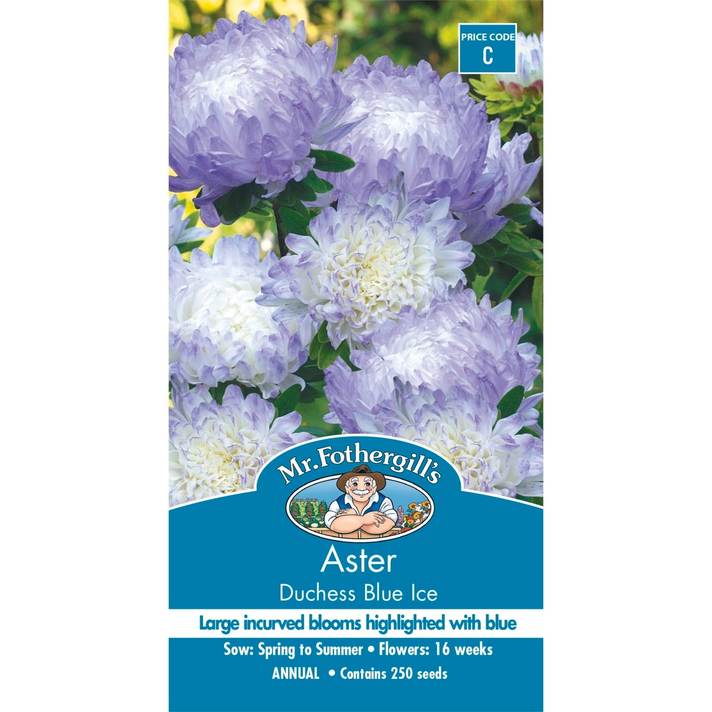 Mr Fothergill Aster Dutchess Blue Ice Seeds