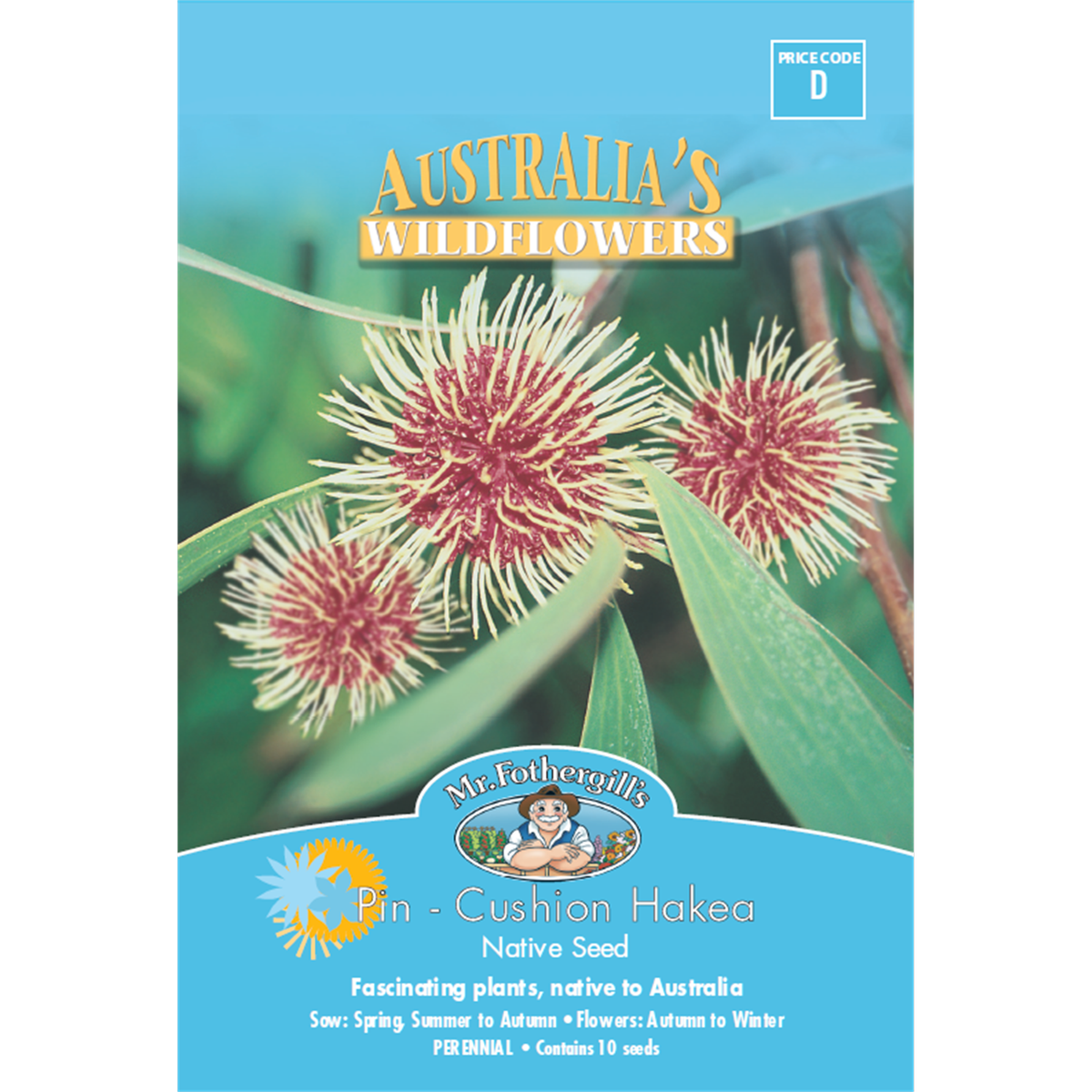 Mr Fothergill Pincushion Hakea Flower Seeds 500cm Hardy Shrub