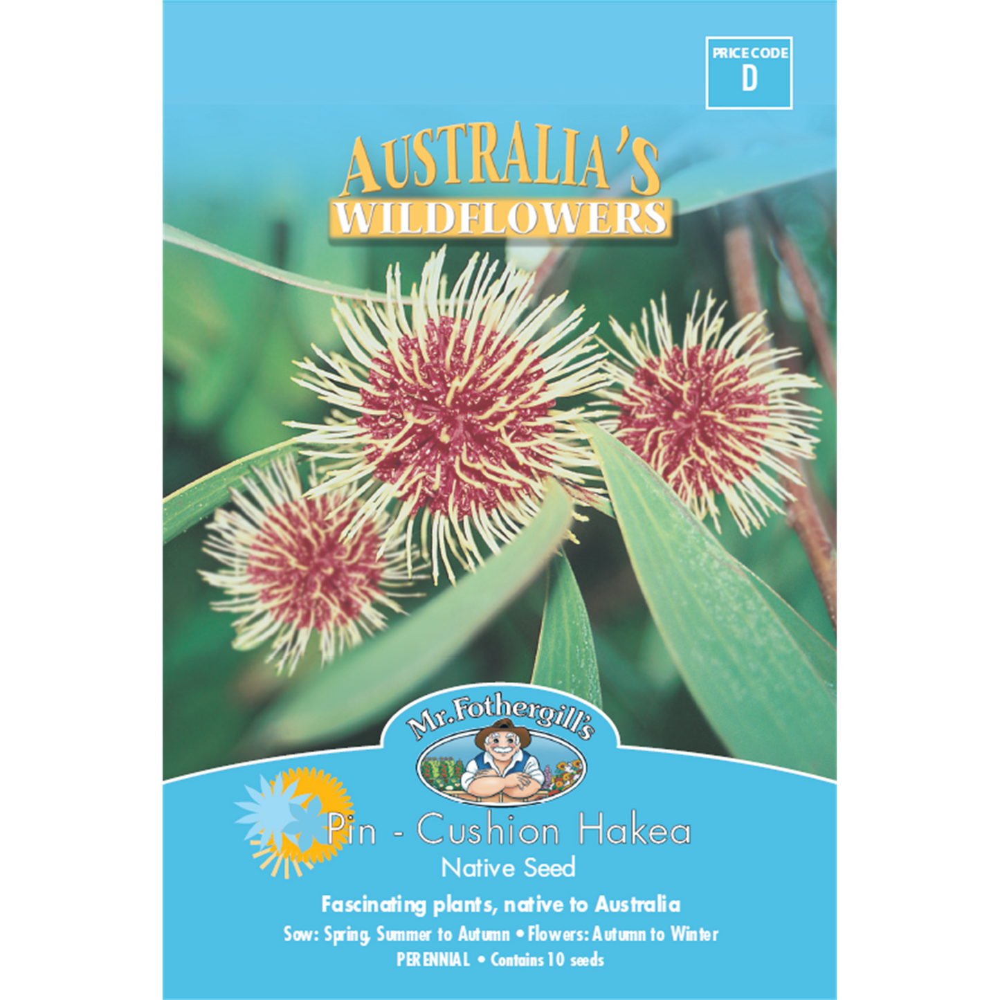 Mr Fothergill Pincushion Hakea Flower Seeds