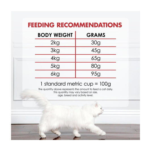 Fancy Feast Dry Cat Food Beef Salmon Cheese - 450g