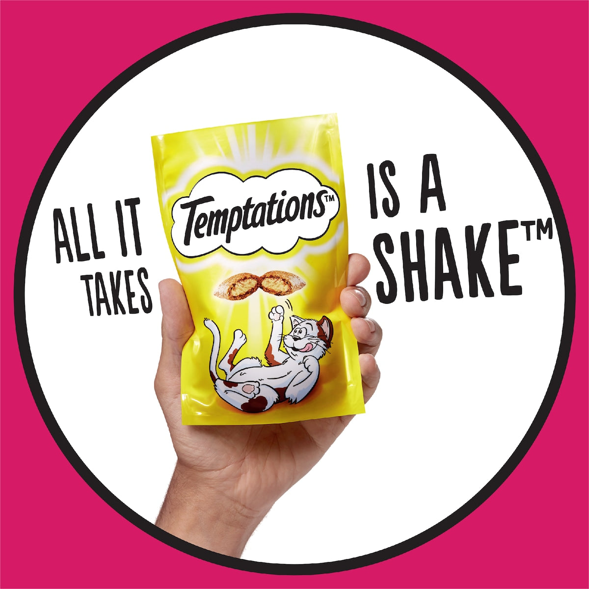 Temptations Treats For Cats Hearty Beef Flavour 350g