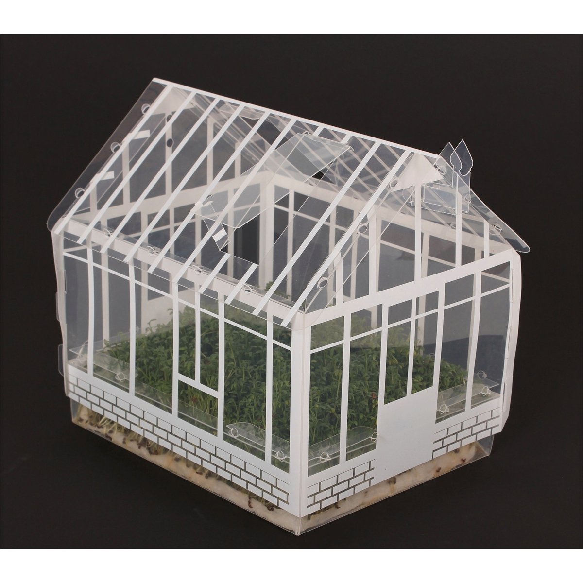 Mr Fothergill Mini Greenhouse Kit - 165mm x 210mm - Plastic - Kids Gardening