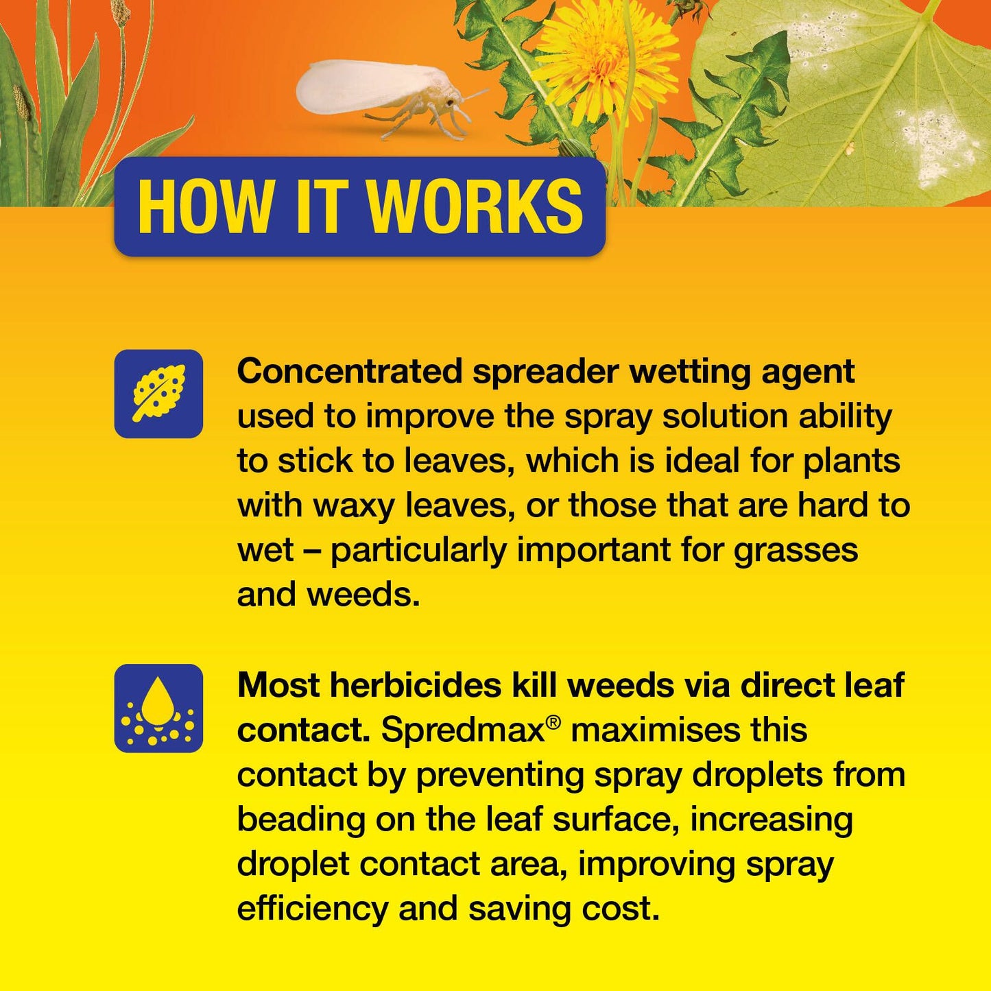 Searles Wetting Agent - 200ml