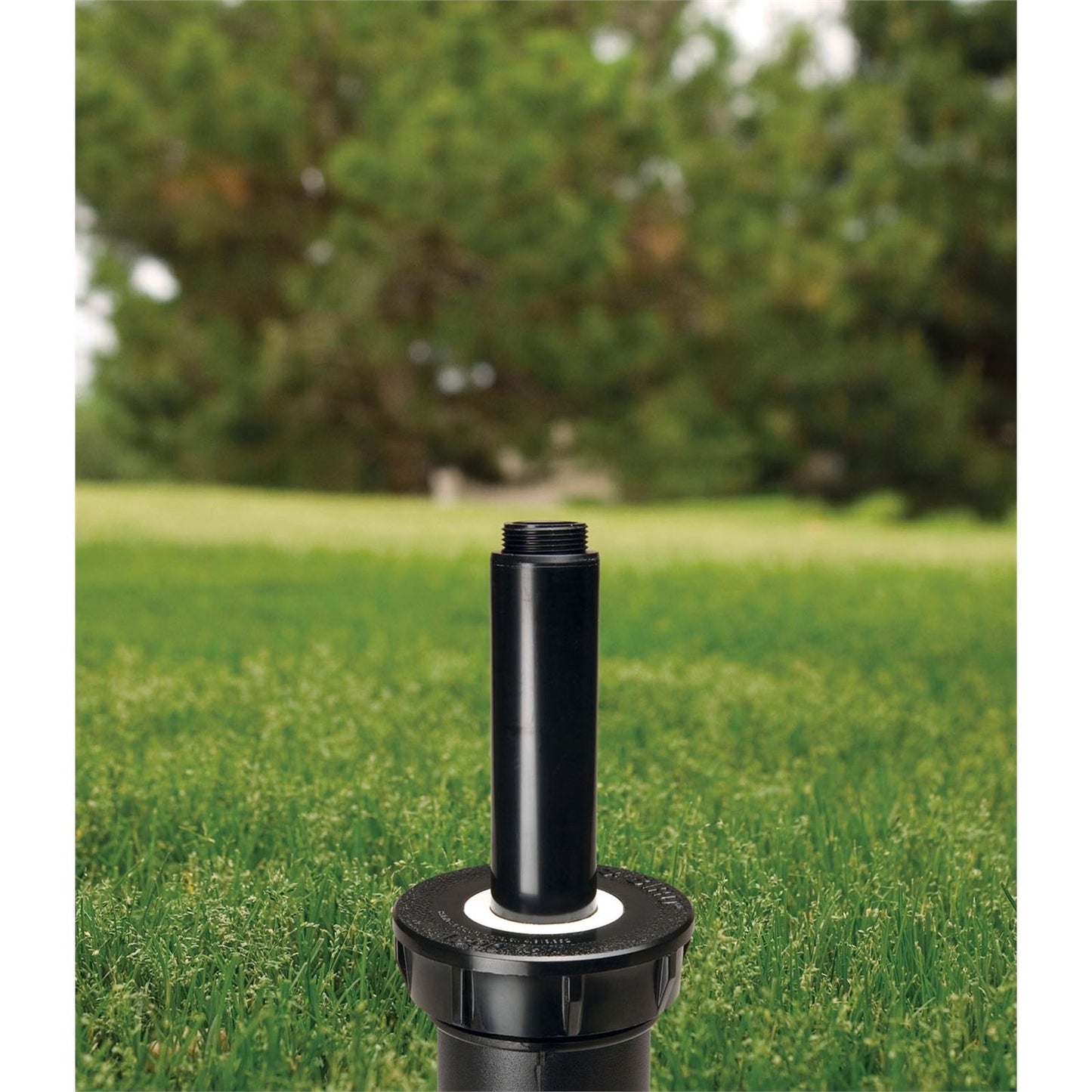 Rain Bird Professional Pop-Up Sprinkler - 76mm