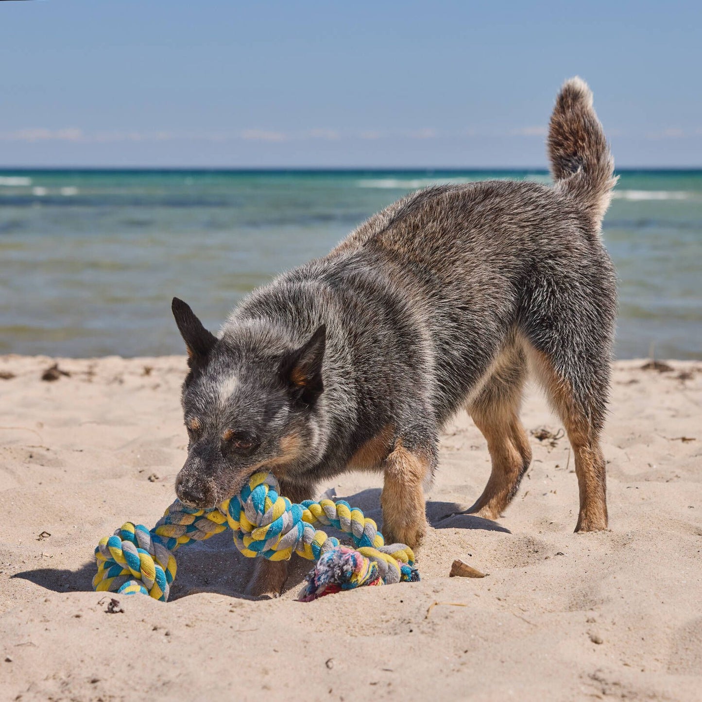 Happy Tails XL Rope Tug Toy