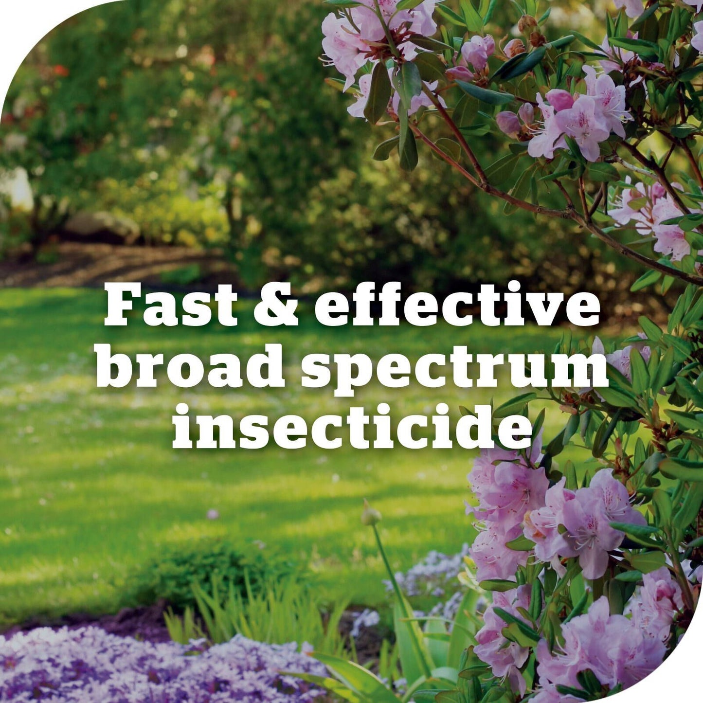 Yates Advanced Garden Insect Killer - 50ml