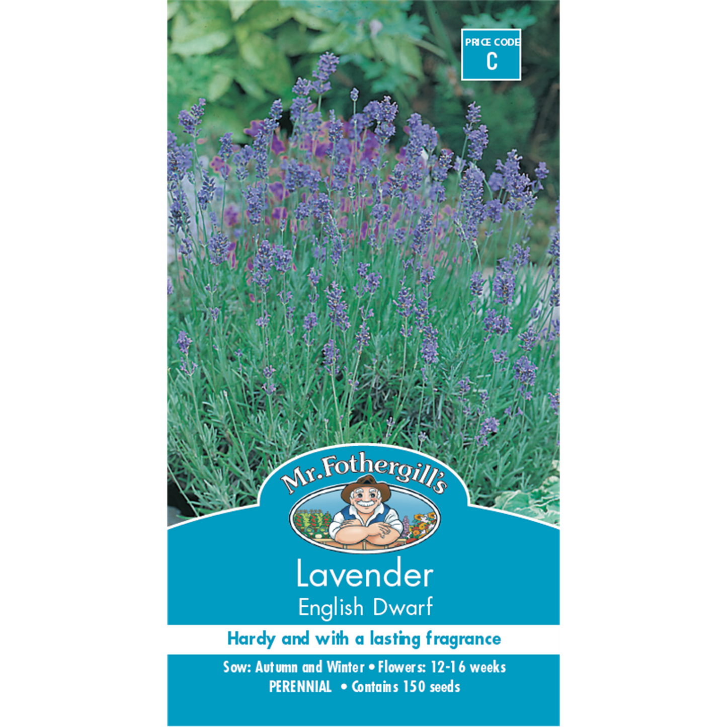 Mr Fothergill's Dwarf Lavender Flower Seeds