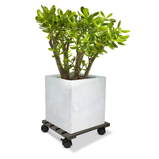 Jack Square Pot Trolley - Charcoal - 29cm - Wood-Poly Composite - Durable