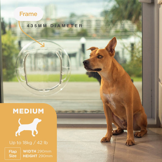 Hakuna Pets Medium Ultra Clear Pet Door - 290mm Flap - Durable - Weatherproof