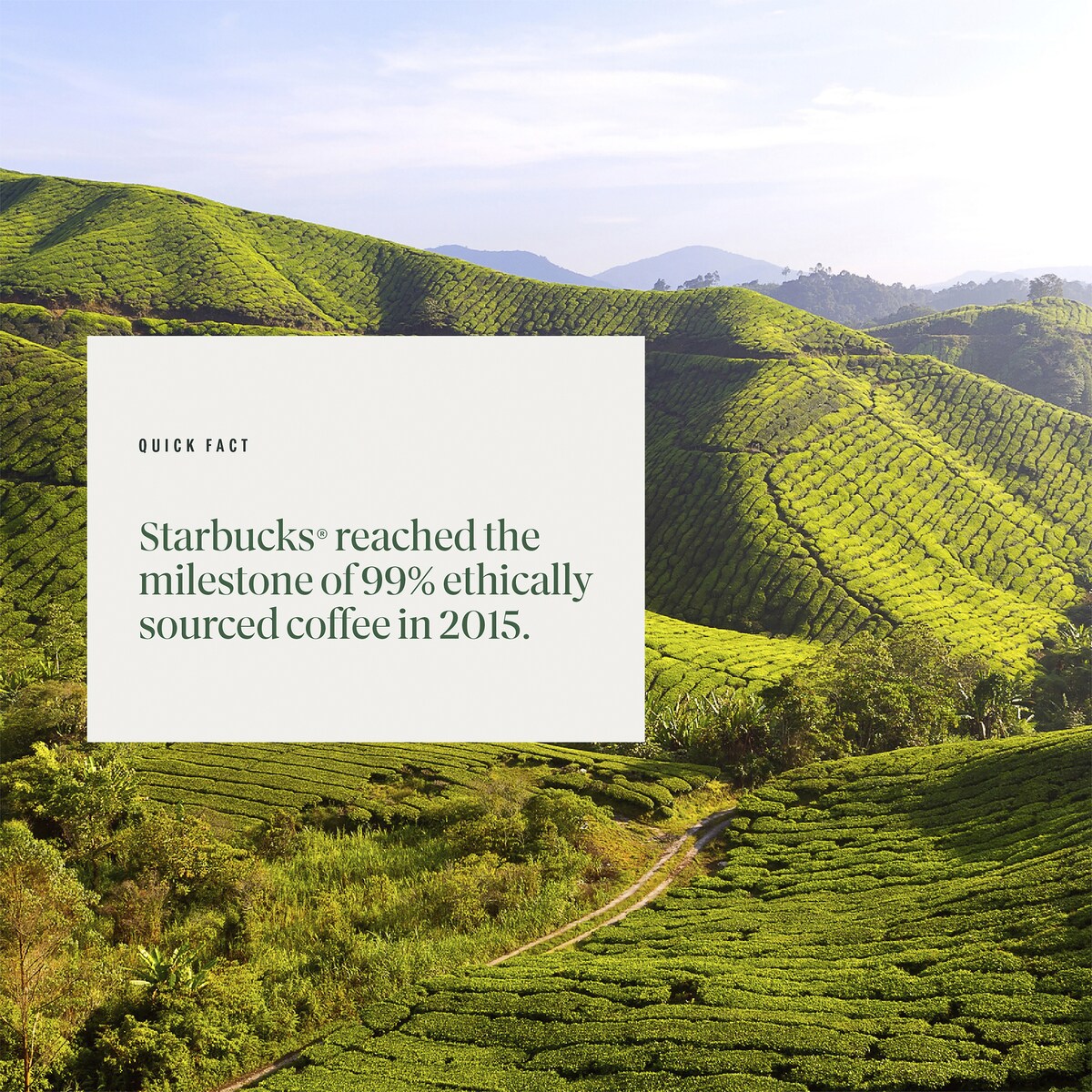 Starbucks by Nespresso Single Origin Colombia Coffee Pods Capsules 10 Pack