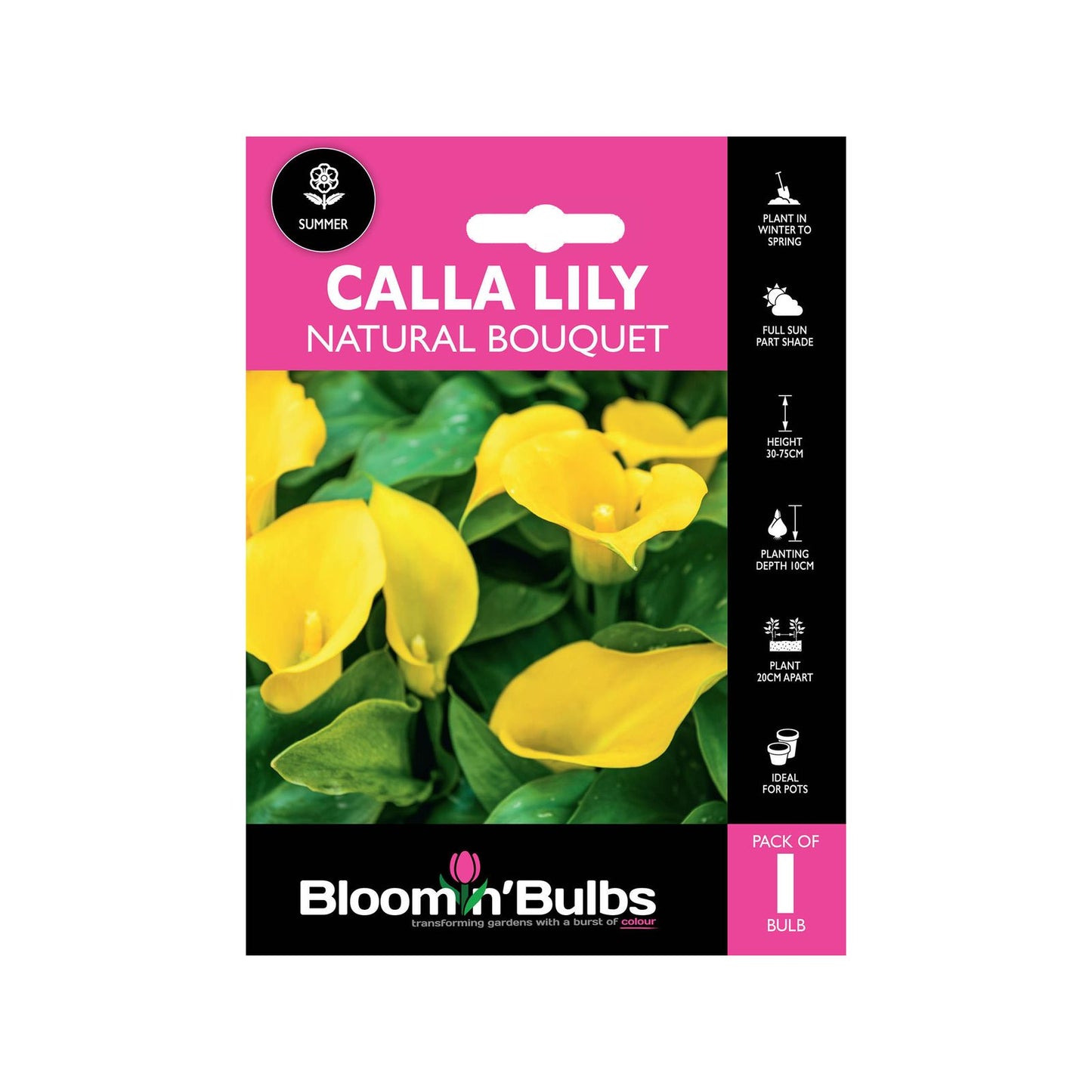 Bloomin Bulbs Calla Lily Natural Bouquet - 193 x 130 x 60mm - Yellow