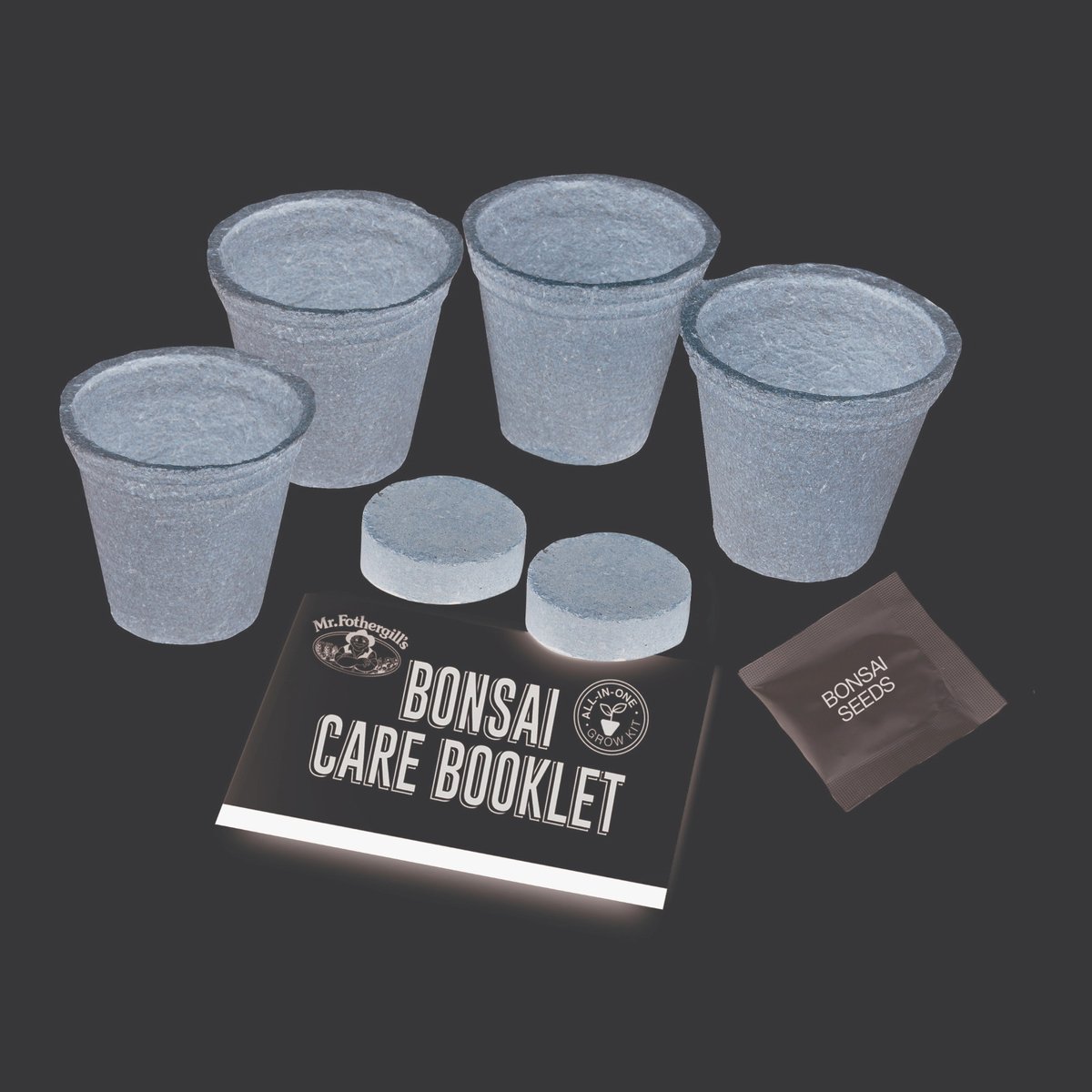 Mr Fothergill Maple Bonsai Kit - Complete Starter Kit - 4 Pots - 90mm x 130mm