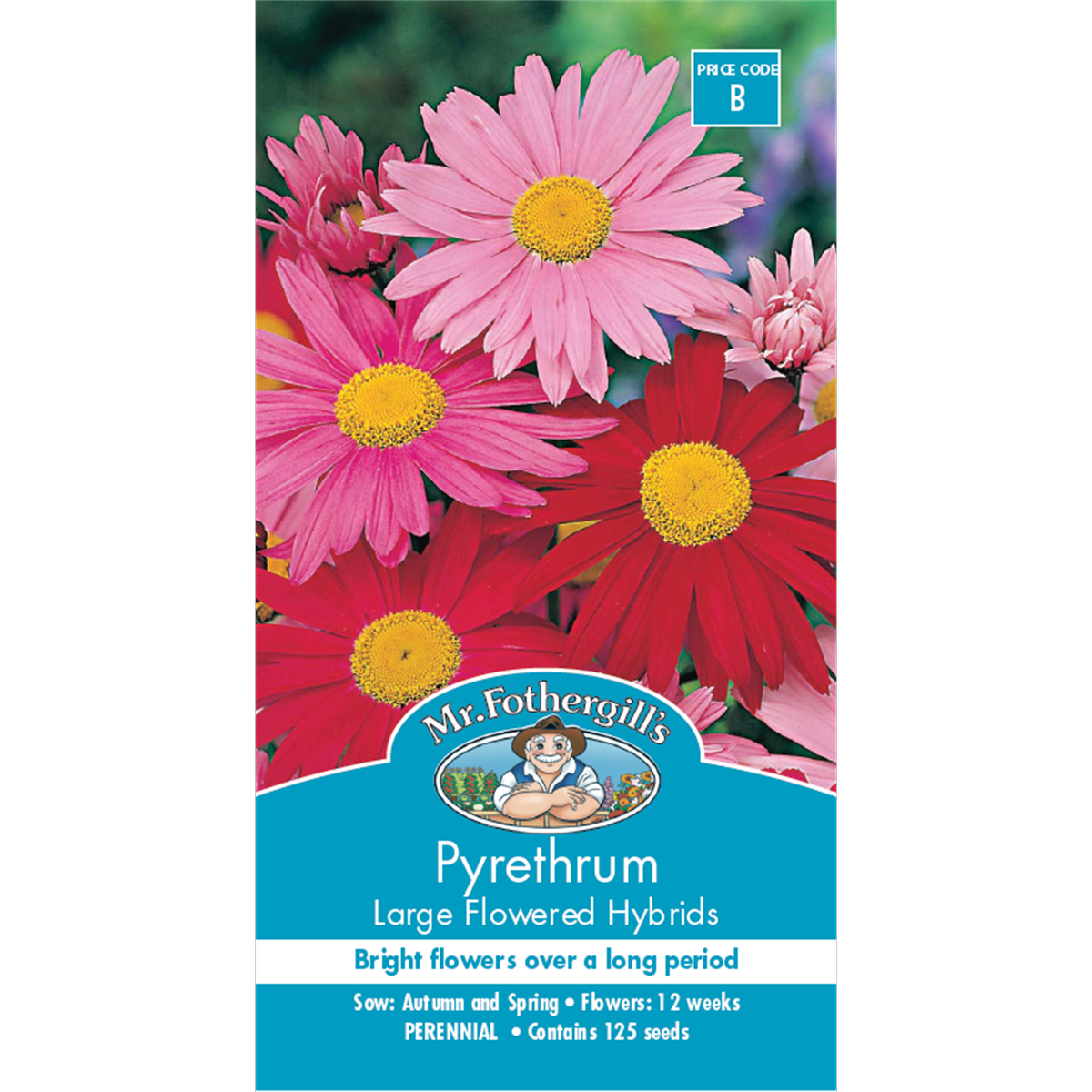 Mr Fothergill Pyrethrum Large Flower Seeds 60cm Perennial Cut Flower