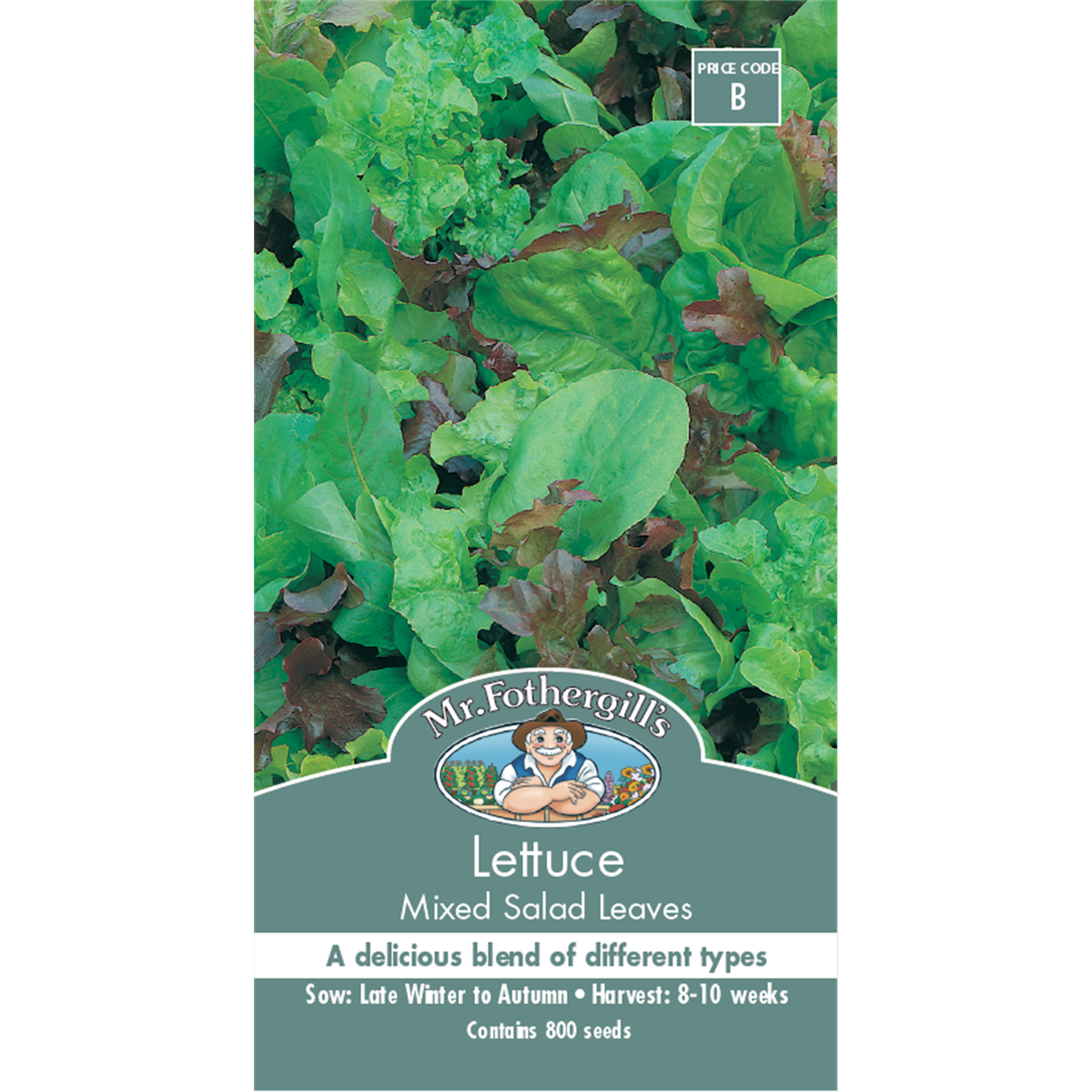 Mr Fothergill Lettuce Mixed Salad Leaves Seeds 75mm Green Healthy