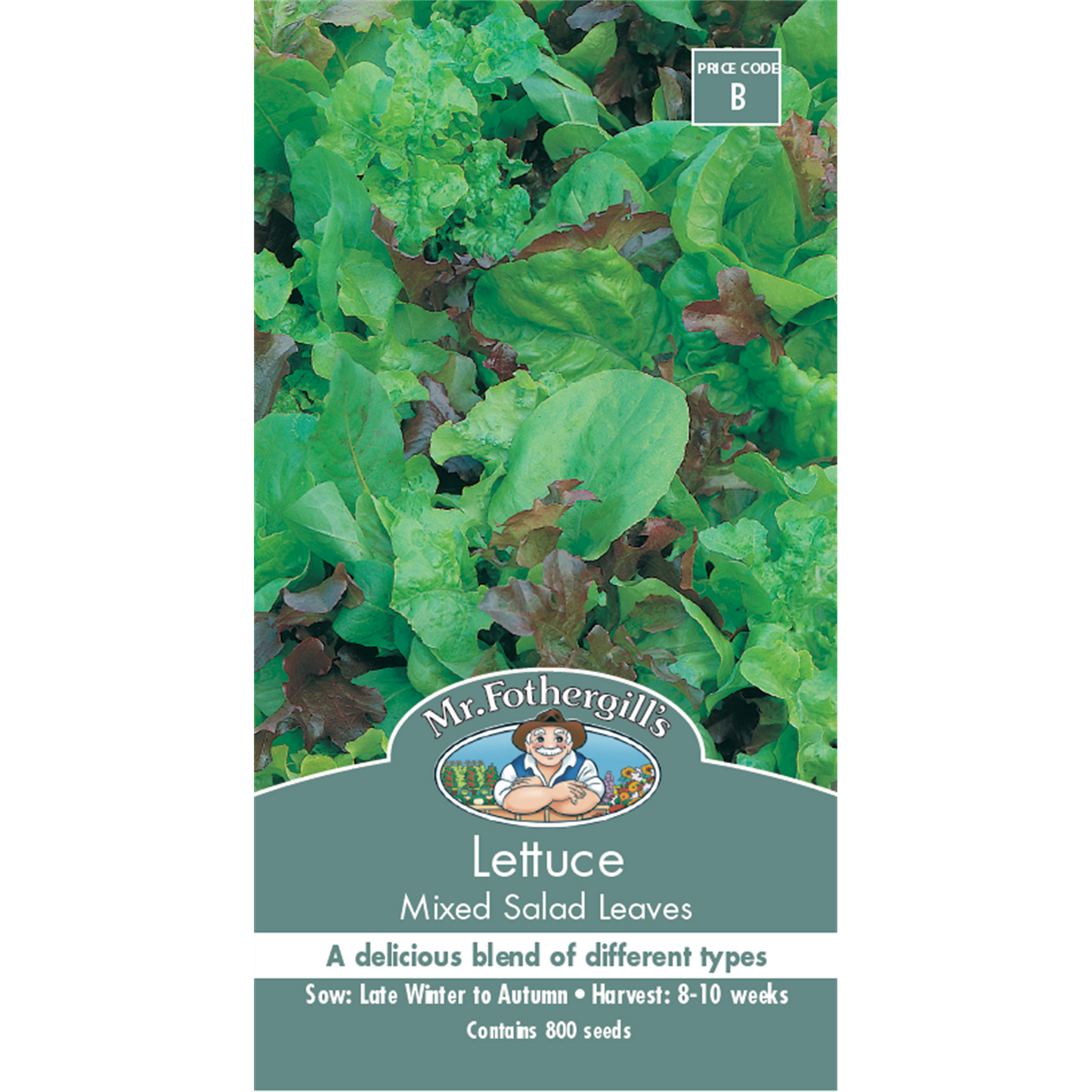 Mr Fothergill Lettuce Mixed Salad Leaves Seeds