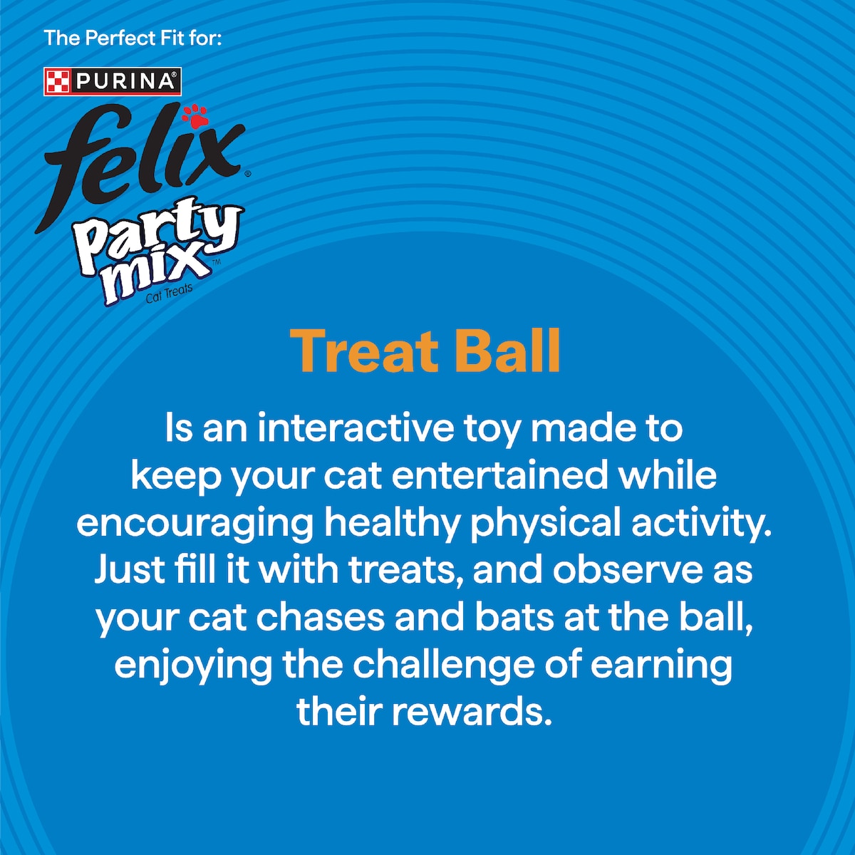 Purina Total Care Treat Ball Cat Toy Each