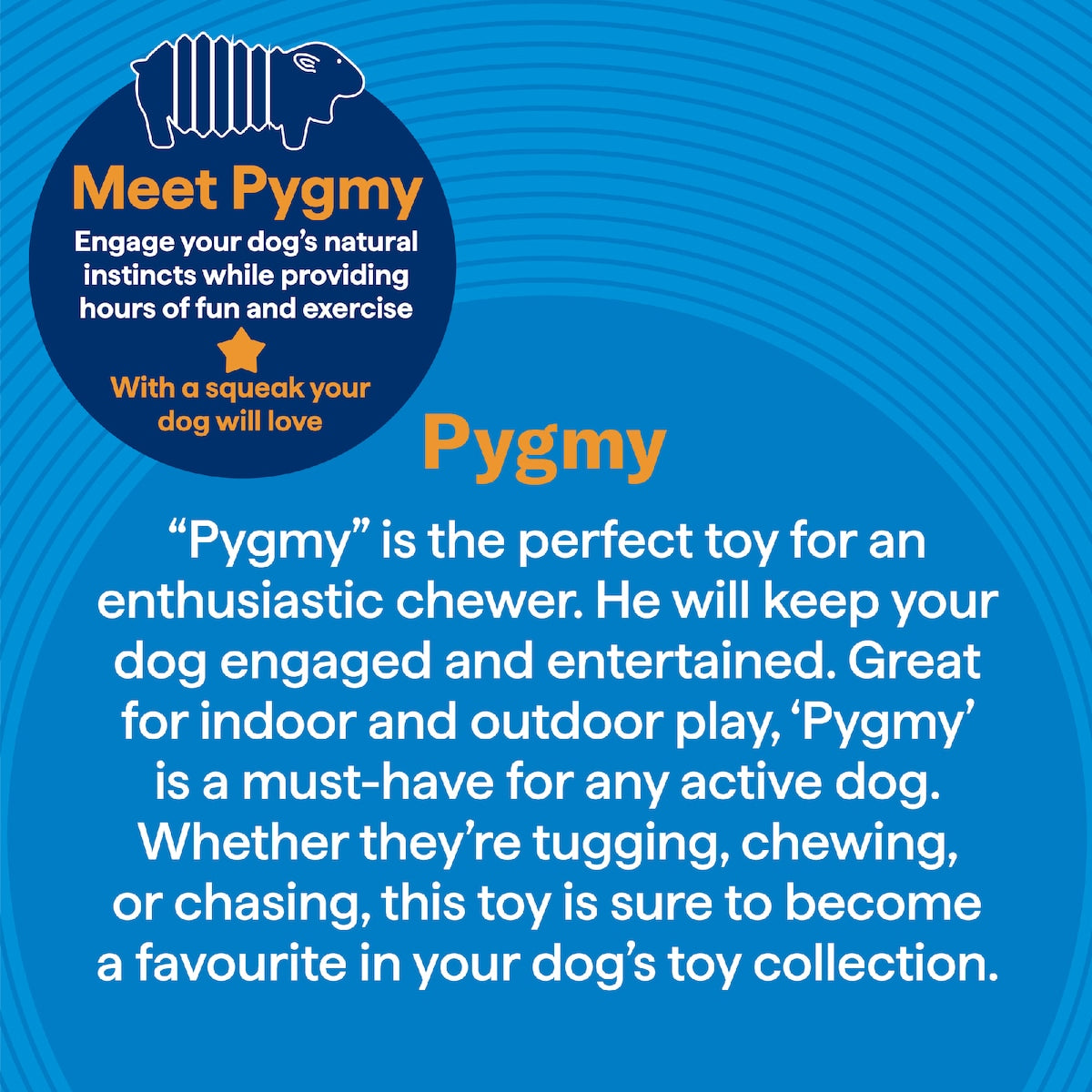 Purina Totalcare Pygmy Squeaker Dog Toy Each
