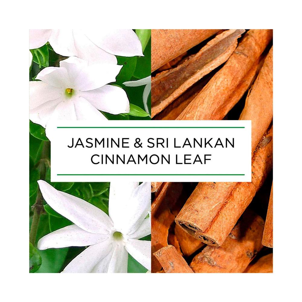Botanica By Air Wick Jasmine & Sri Lankan Cinnamon Leaf Automatic Spray Refill - 228mL