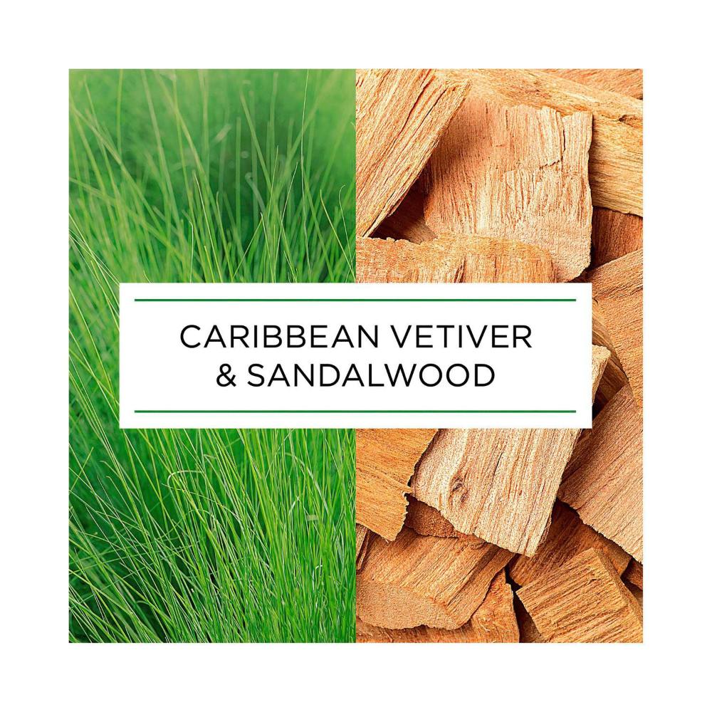 Botanica By Air Wick Caribbean Vetiver & Sandalwood Automatic Spray Refill - 228mL