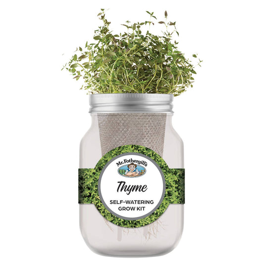 Mr Fothergill's Self Watering Grow Kit - Thyme