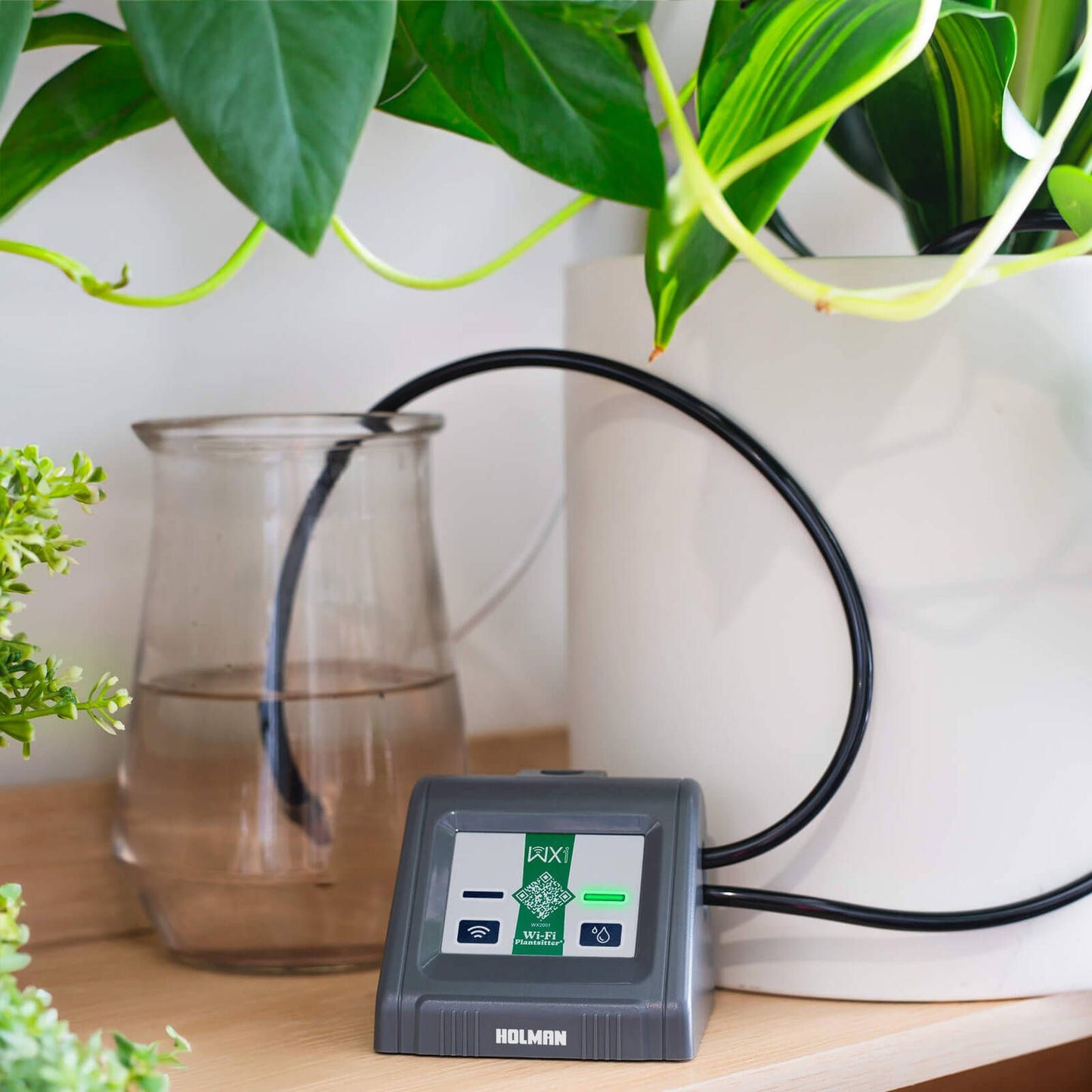 Holman Wi Fi Plantsitter Indoor Timer Kit - 216 x 100 x 146mm