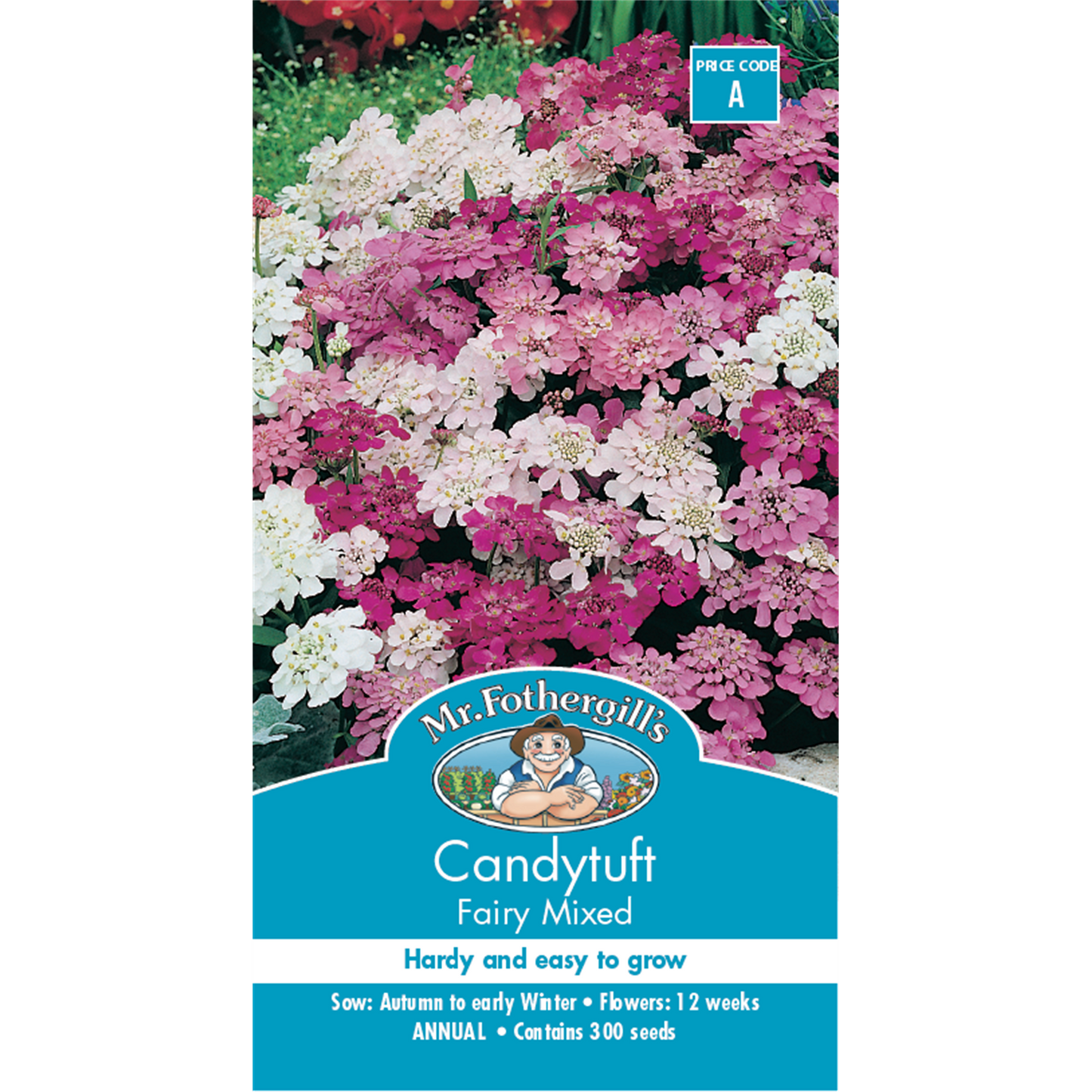 Mr Fothergill Candytuft Fairy Mixed Flower Seeds