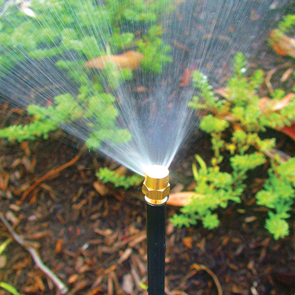 Holman Brass Micro Spray 1/4 Circle 8.5mm Brass Precision Watering