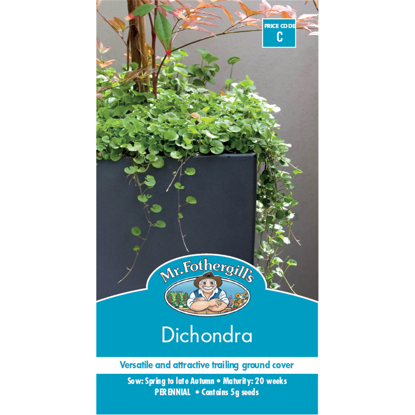 Mr Fothergill Dichondra Seeds