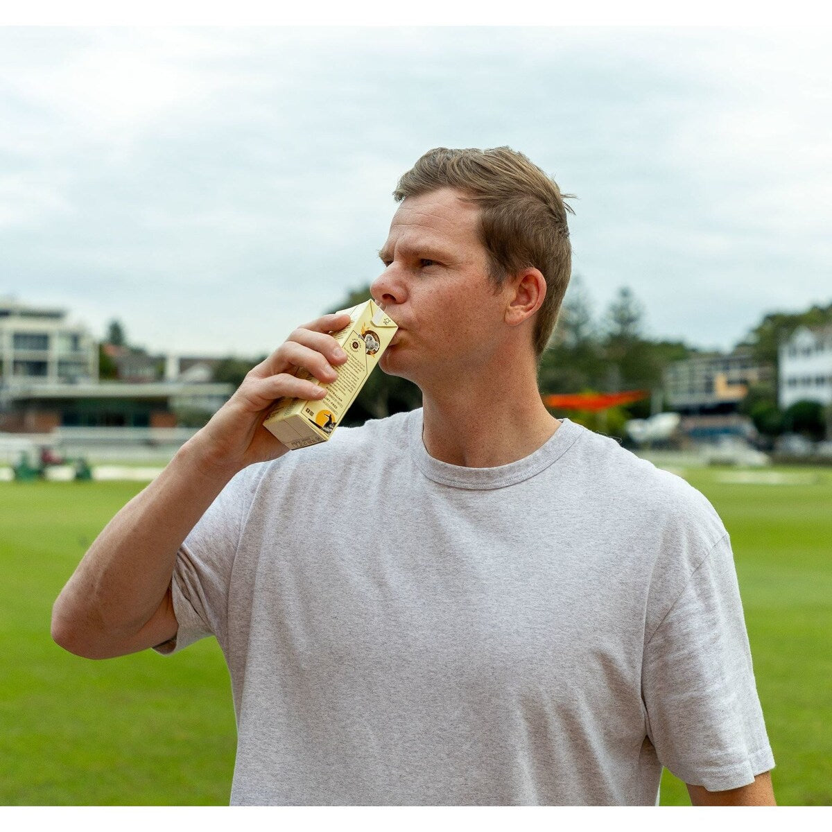 Oat Milk Goodness OMG Chocolate Protein Oat Milk 350mL