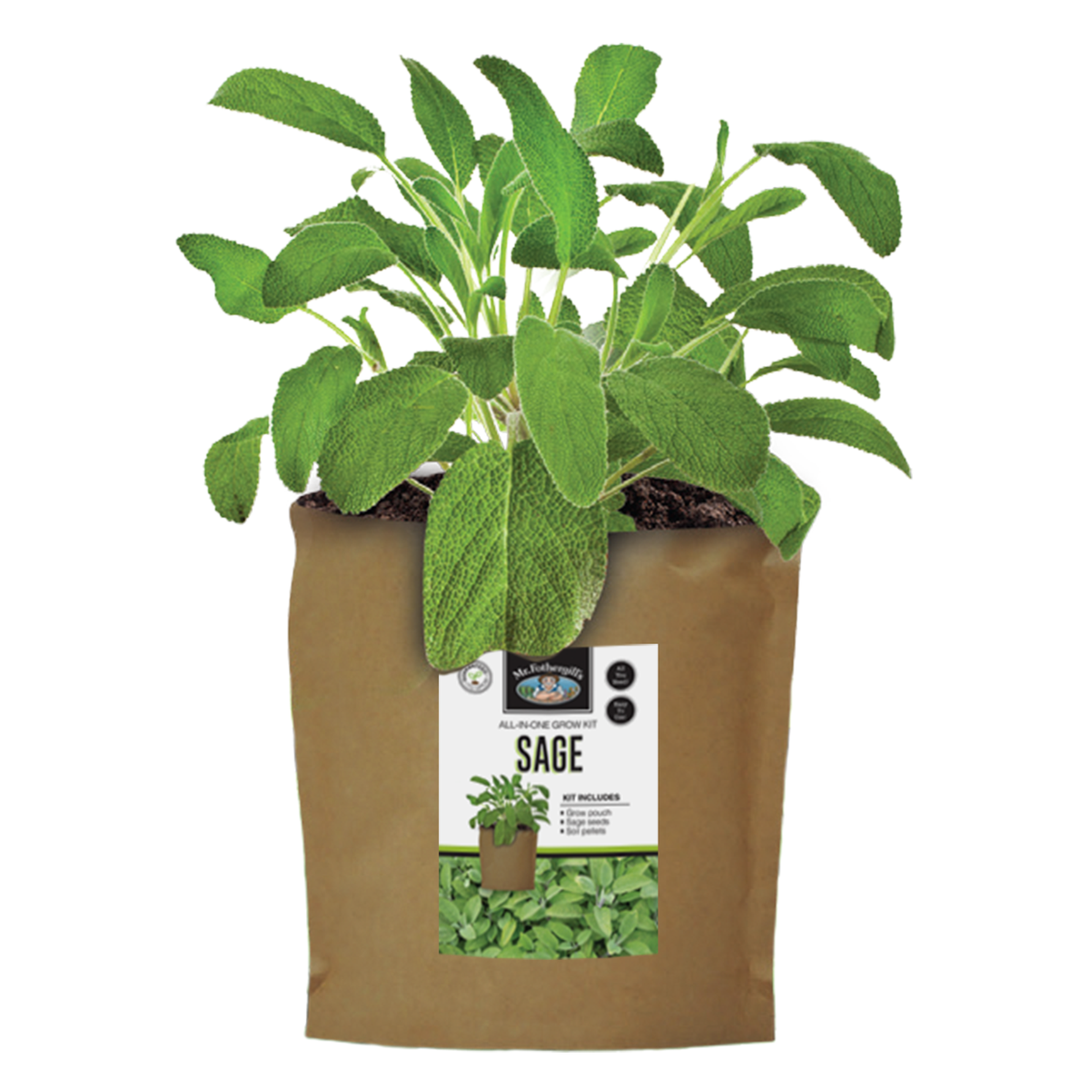 Mr Fothergill Sage Grow Pouch - 170mm x 240mm - All-in-One Kit