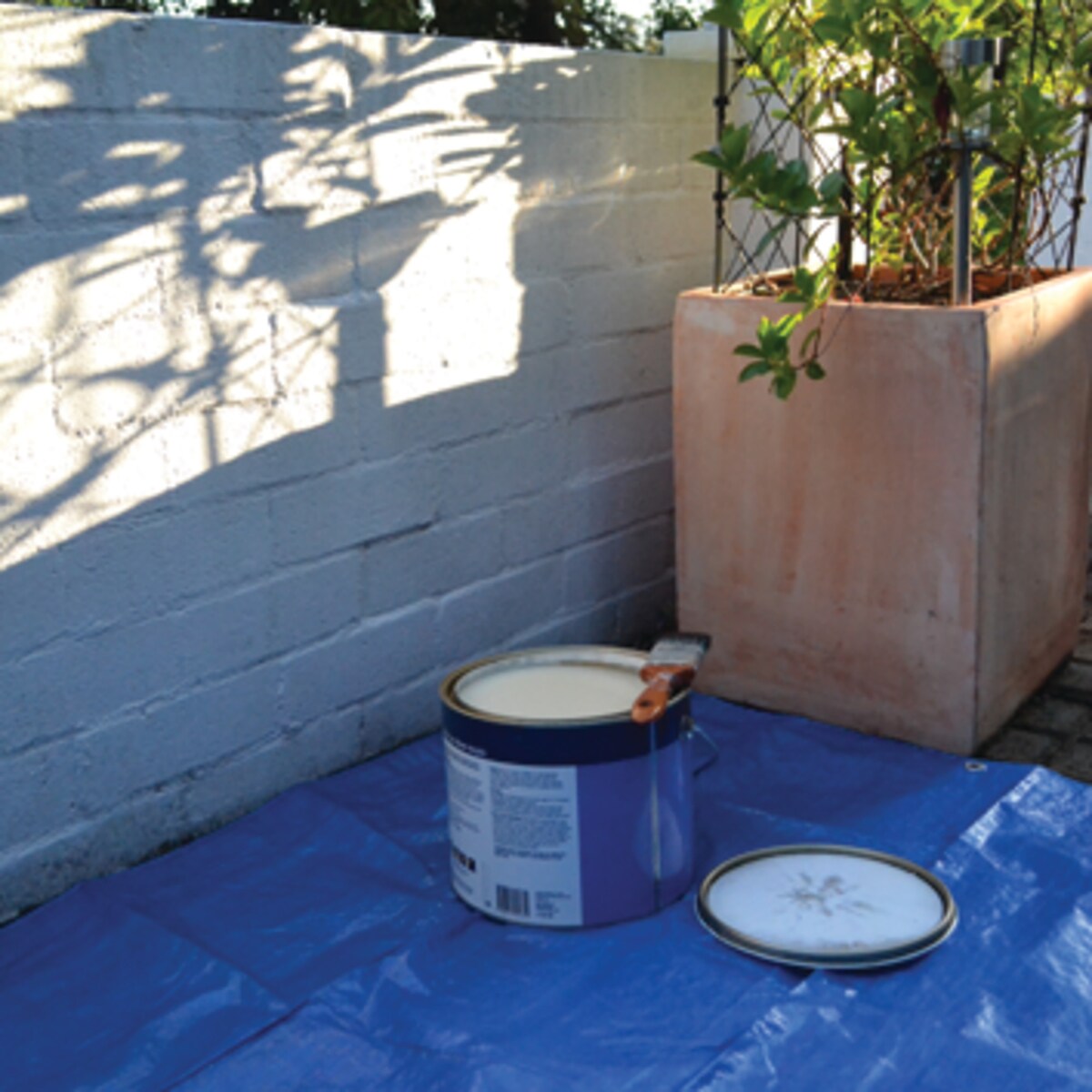 Budget Blue Tarp 2.4m X 3.0m (8x10) Each