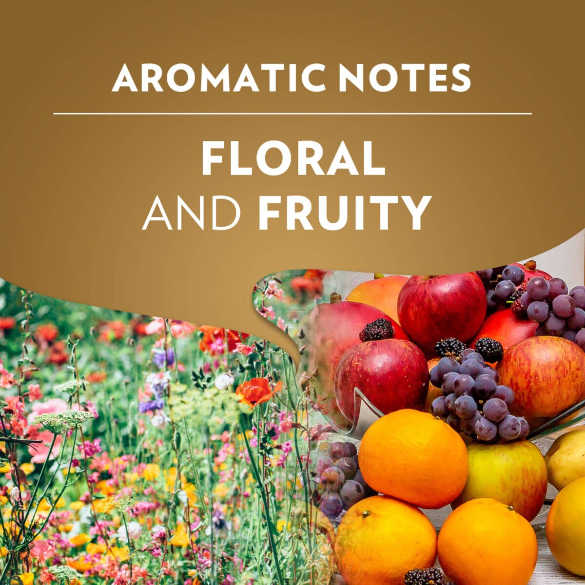 Lavazza Qualita Oro Coffee Beans 1kg