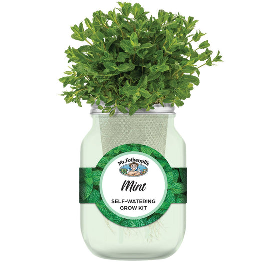 Mr Fothergill's Self Watering Mason Jar Grow Kit - Mint