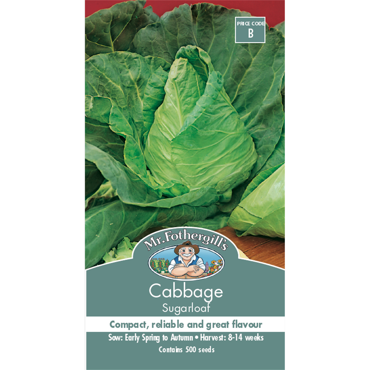 Mr Fothergill Sugarloaf Cabbage Seeds 75mm Green Sweet Flavor