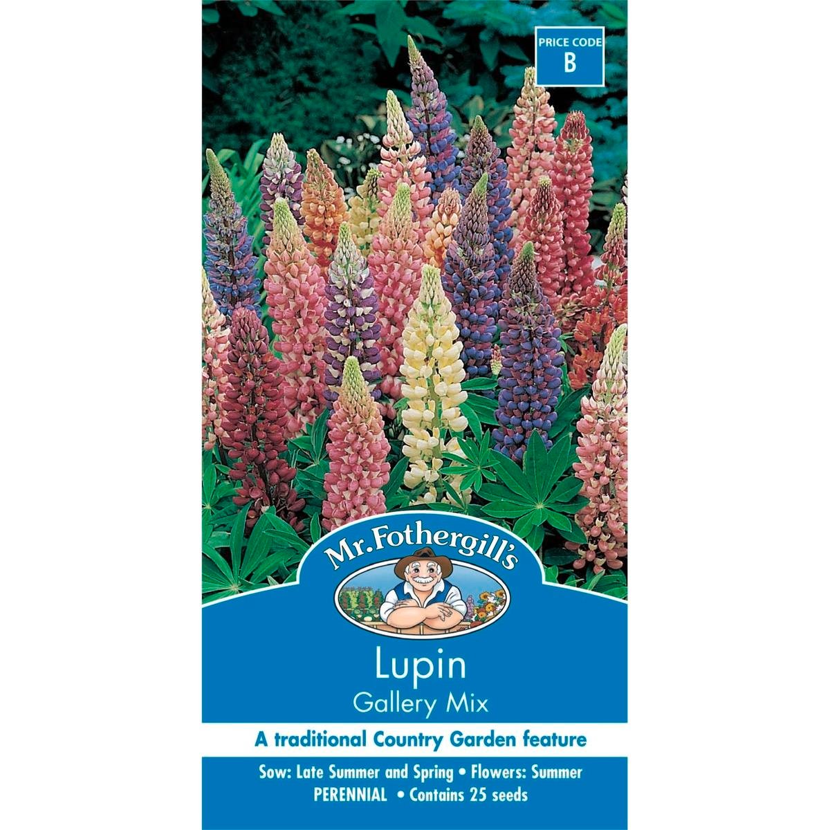 Mr Fothergill Lupin Gallery Mix Seeds 120cm Mixed Attracts Insects