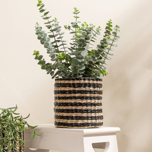 Astin Sinclair Striped Mini Planter - 140mm