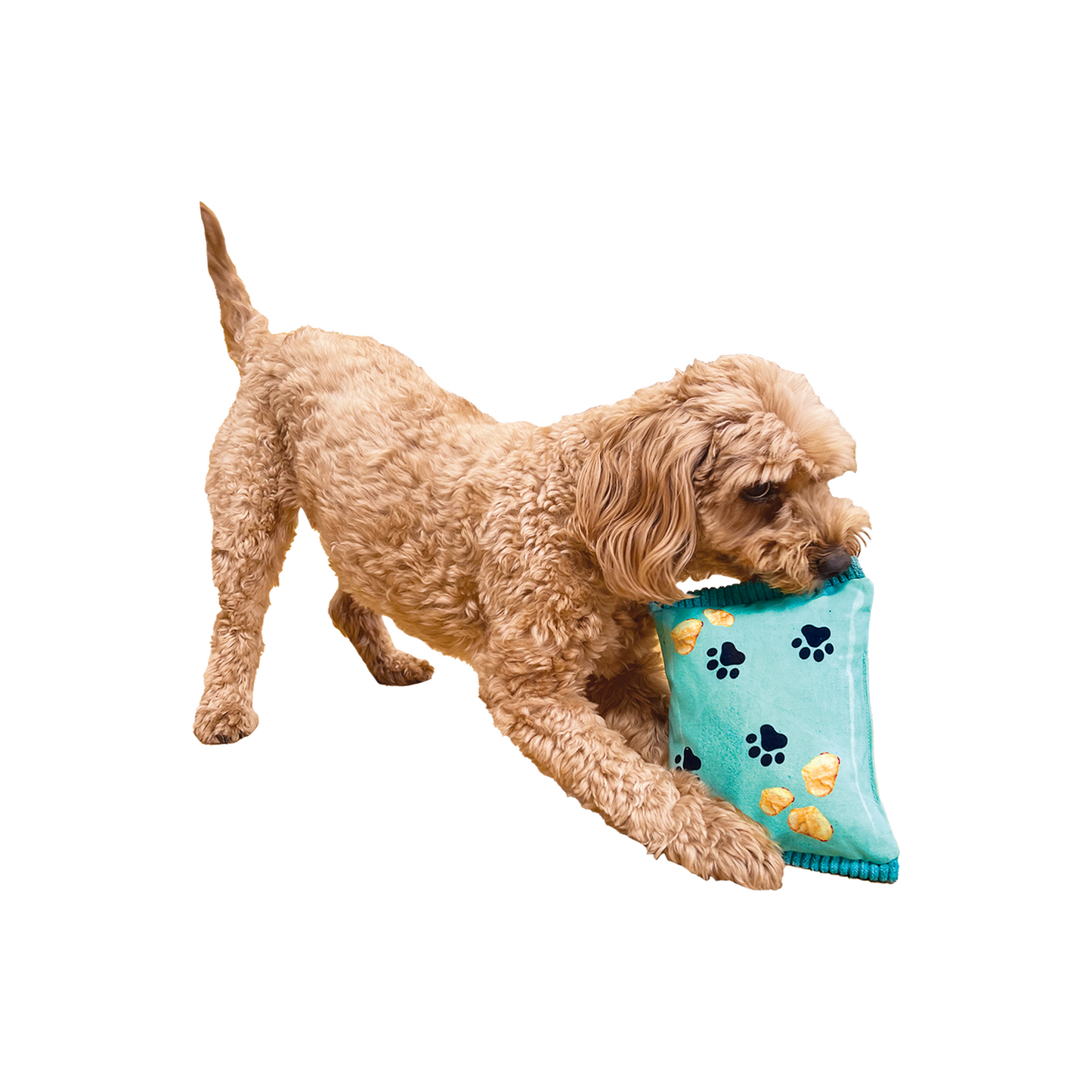 Baxter Bone Salty Dog Chips Pet Toy