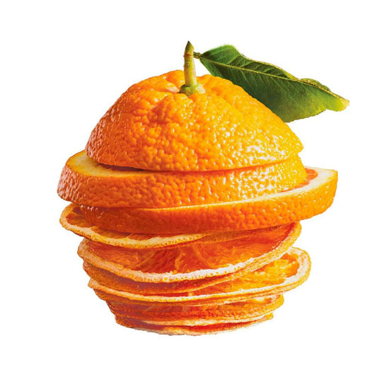 Nudus Air Dried Orange Chips - 20g