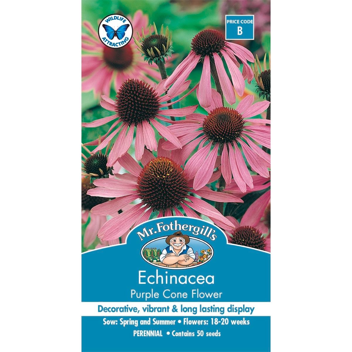 Mr Fothergill Echinacea Seeds - 75mm - Seeds - Attracts Beneficial Insects