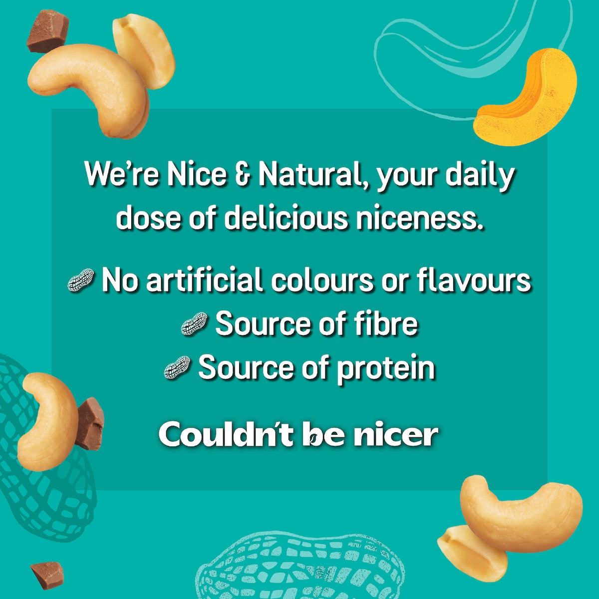 Nice & Natural Roasted Nut Bars Peanut & Cashew With Milk Choc 6 Pack