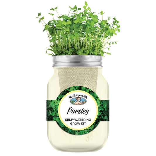 Mr Fothergill's Self Watering Mason Jar Grow Kit - Parsley