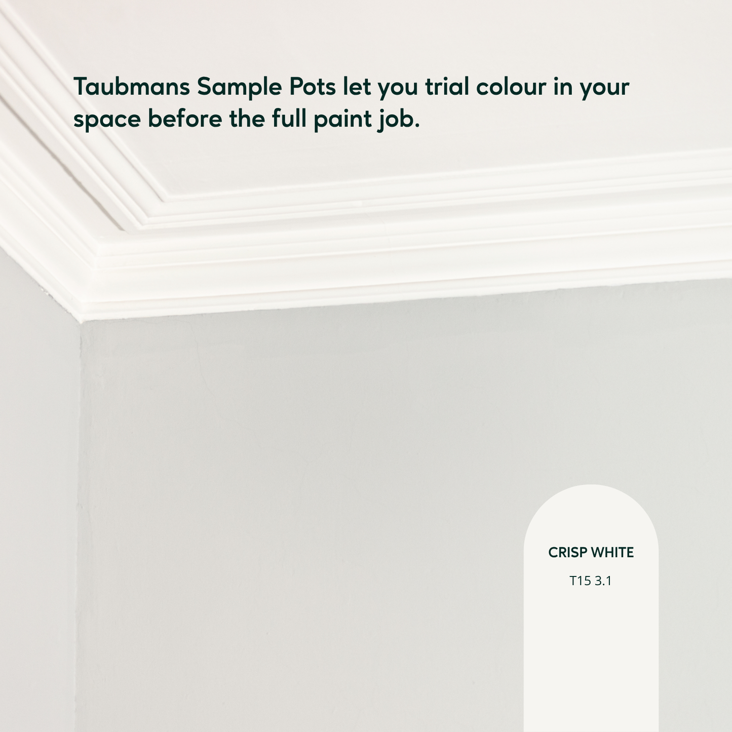 Taubmans White Sample Pot - 500ml